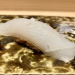 Sushi Shimizu - アオリイカ