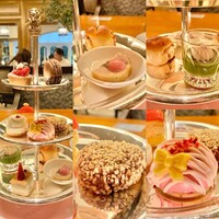 スプレンディード - 