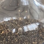 プレゼンテ スギ - 