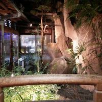 鯛よし百番 - 