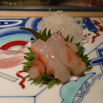 Sushi Uchida - 