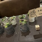 カフェベース - 