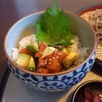 Hannari - サーモンアボカド丼