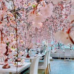 HAUTE COUTURE CAFE OMOTESANDO - 