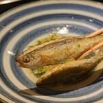 富小路 やま岸 - 