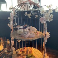渋谷 Blue bird - 