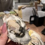 貝×シャブリ jiji - 