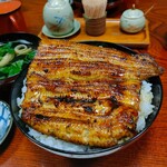 Unayoshi - 丼からはみ出た絶品うな様