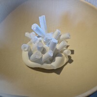 ヒカリヤ ニシ - 