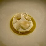 カンテサンス - 