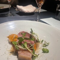 セルサルサーレ - 