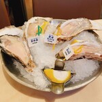 Oyster Bar ジャックポット - 