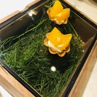 デルフィーナ - 