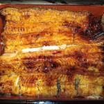 Unagi Musashino - 