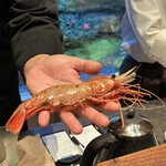 廣澤 - ⑥瞬間揚げ牡丹海老(北海道産)