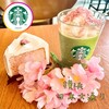 STARBUCKS COFFEE - 