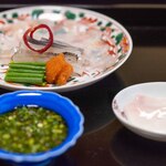 よし町 - 2024.3 天然河豚刺しポン酢 白子刺し付き