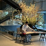 中国料理 星ヶ岡 - 