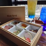 Shibuya Blue Bird - 