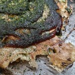 Okonomiyaki Teppanyaki Fuufuu - 