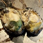 銀座 鉄板焼ORCA - 