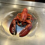 銀座 鉄板焼ORCA - 