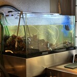 銀座 鉄板焼ORCA - 