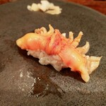 江戸心 山ぼうし - 