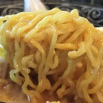 Ramen Koubou Miso Den - 特みそラーメン麺アップ