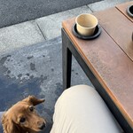 スターバックスコーヒー - 