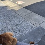 スターバックスコーヒー - 