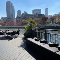 スミレオオサカ - 