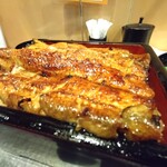 Unagi Musashino - 