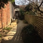 walet - アプローチ