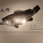 Sakana Anrokku - 地元船橋市場の魚拓