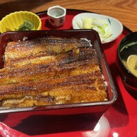 炭焼 うな富士 有楽町店 - 