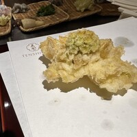 天七 - 