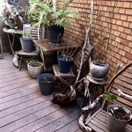 Lecoin キタサンドウ - 