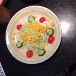 焼肉食べ放題 感激どんどん - どんどんサラダ