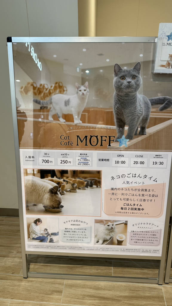 メニュー写真 : Cat Café MOFF グランベリーパーク店 （キャットカフェ