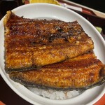 Unagi Washoku Shirakawa - 