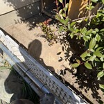 田舎うどん てつ - 