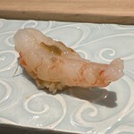 鮨菜 和喜智 - ボタン海老