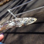 中華ソバ 伊吹 - 