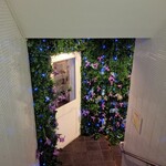 FLOWER WALL MONE - 