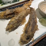 純酒肴 吟 - メヒカリの天ぷら