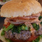 パントリー コヨーテ - 