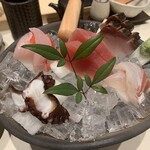 近藤めしの助 - おまかせ刺身盛り