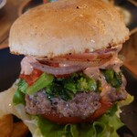 パントリー コヨーテ - 