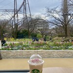 STARBUCKS COFFEE - 